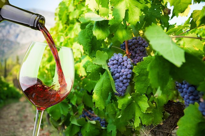 Private Tour: Ston and Peljesac Peninsula Day Trip with Wine Tasting - What you will love most about Ston and Peljesac