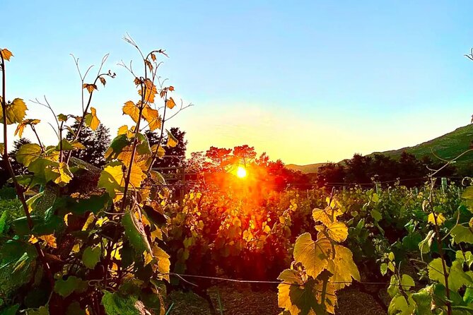 Private Wine Tasting Under The Stars With Sunset Panorama - The 7:00 pm Timing, Pickup, and How the Night Feels