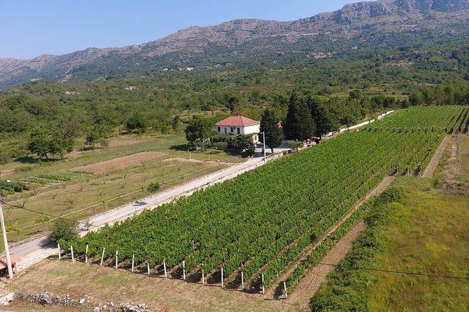PRIVATE Wine Tour to Konavle country side - What You Actually Taste: 4 Wines plus 4 Liqueurs