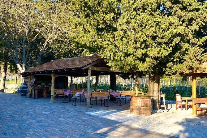 PRIVATE Wine Tour to Konavle country side - Tour Logistics, Pickup Reality, and Timing Tips
