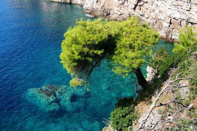 Rent a Boat! (Group Option - Half Day) - Your lunch decision: €15 per person if you want food on the boat