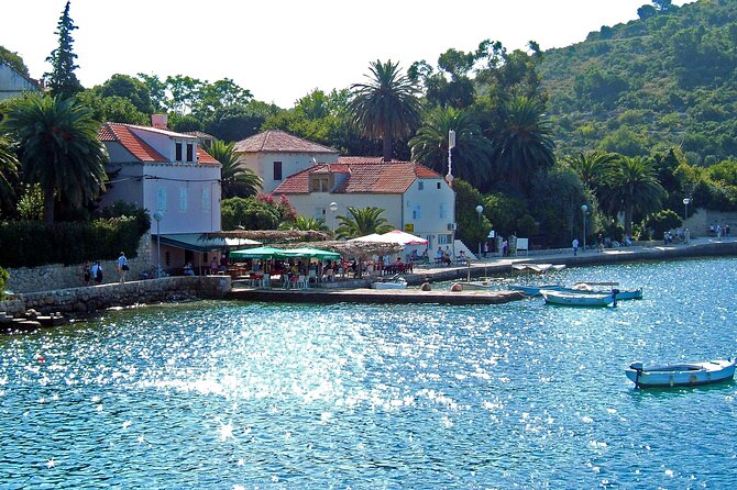 Rent a Boat! (Group Option - Half Day) - Guides and crew: when the English is excellent, the stops land better