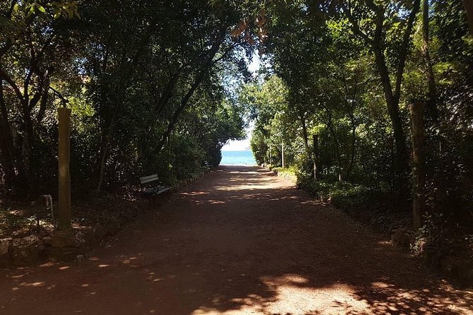 Rent a speed boat and explore beaches and coves of Elaphiti Islands - Sipan and Suđurađ: olive trees, villas, and a fishing port that still feels local