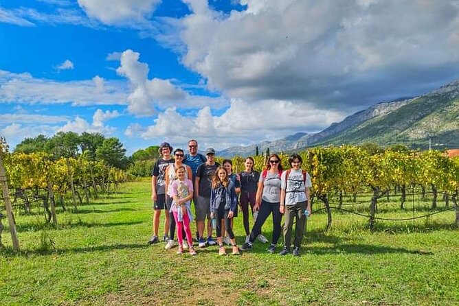 Rural Biking & Wine Tasting Tour in Dubrovnik - Gruda Winery and Bratoš Tasting With Vineyard Time