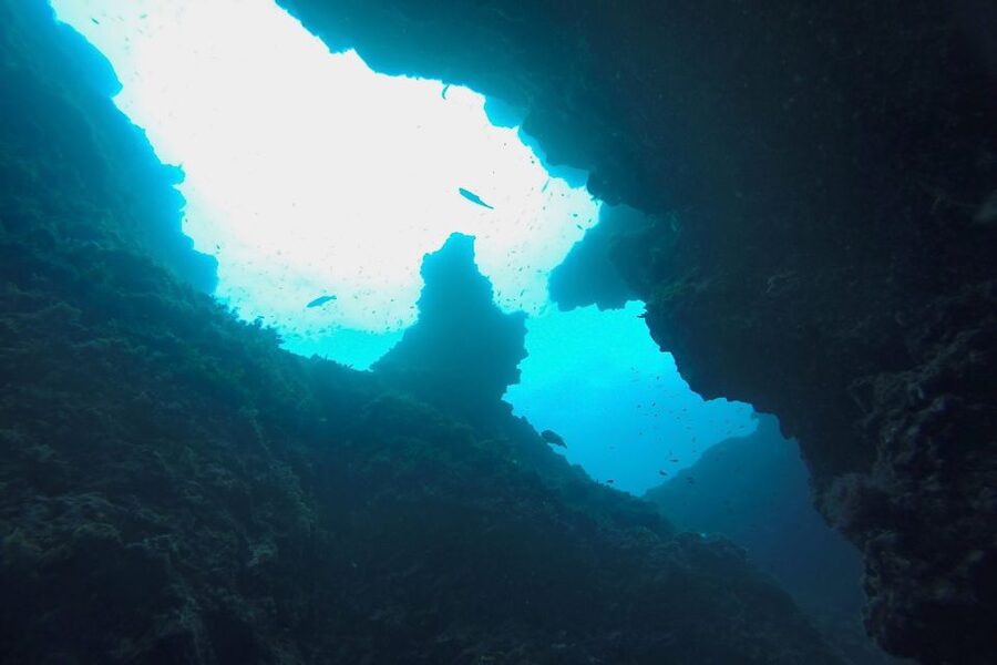 Scuba Diving in Dubrovnik: 1 Dive for Certified Divers - Scuba in Dubrovnik with a certified-only plan