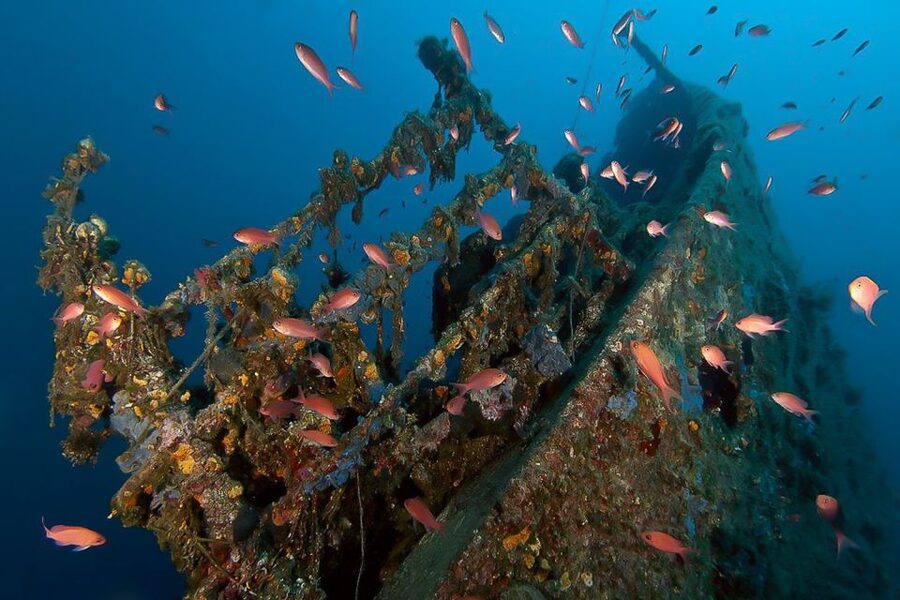 Scuba Diving in Dubrovnik: 1 Dive for Certified Divers - What you actually do in the 150 minutes