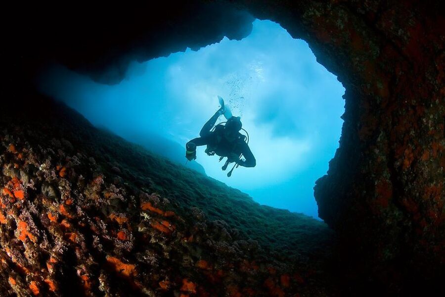 Scuba Diving in Dubrovnik: 1 Dive for Certified Divers - Pricing value: $94 for equipment, guidance, and real choices