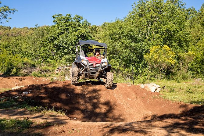 Self-drive Off Road Buggy - Key Highlights You’ll Care About