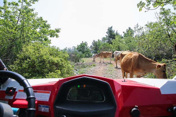 Self-drive Off Road Buggy - Small Group Format: Why Max 10 Feels Like Real Attention