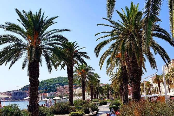 Split and Ston private tour or transfer - Timing and start times: choosing the morning that fits your group