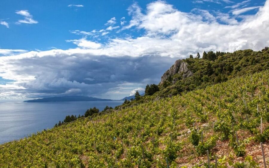 Ston and Korcula Island Day Trip from Dubrovnik with Wine - FAQ