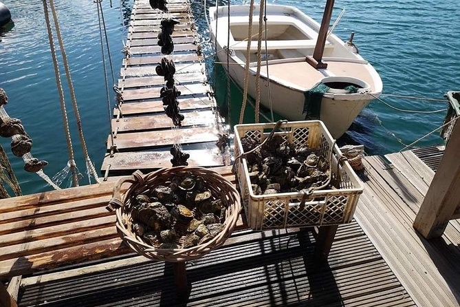 Ston Gastro Tour - Lunch in Ston: Mussels and Two Risottos, Including Black Risotto