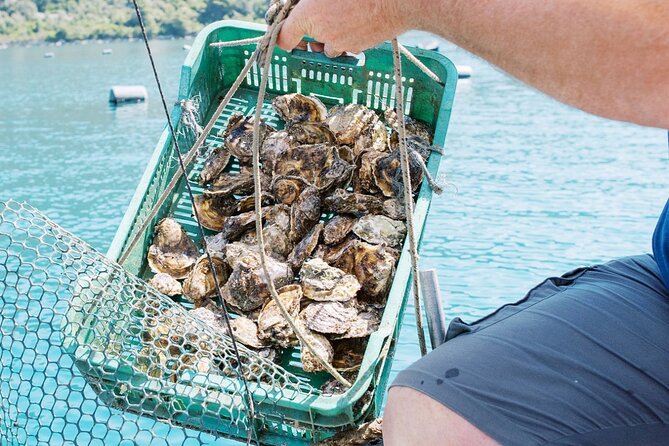 Ston Gastro Tour - Dino, Mario, and the Local Touch You Hope For on Food Tours