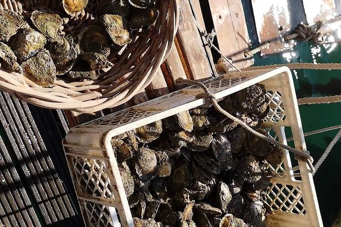 Ston Gastro Tour - Practical Tips Before You Go to Mali Ston and Ston