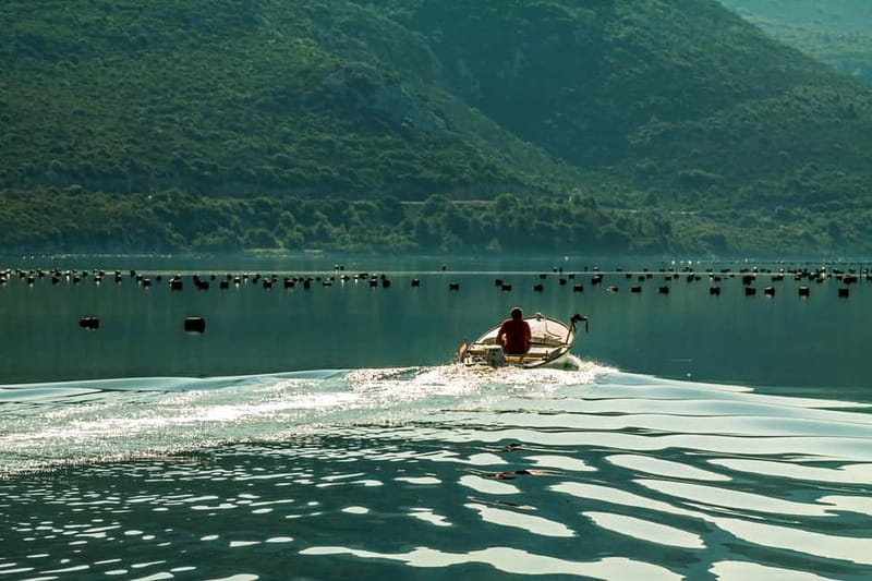 Ston Oyster & Wine Tasting Private Tour From Dubrovnik - Getting from Dubrovnik to Ston without losing your day