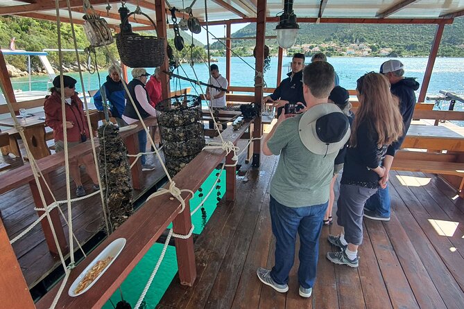 Ston Oysters & Wine Tasting Tour from Dubrovnik - Who should book this Ston oyster and wine day trip