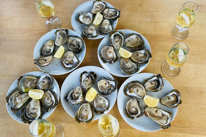 Ston Seafood & Pelješa Wine Boat Tour with Oysters and Mussels - The day’s rhythm, pickups, and the van-to-boat reality