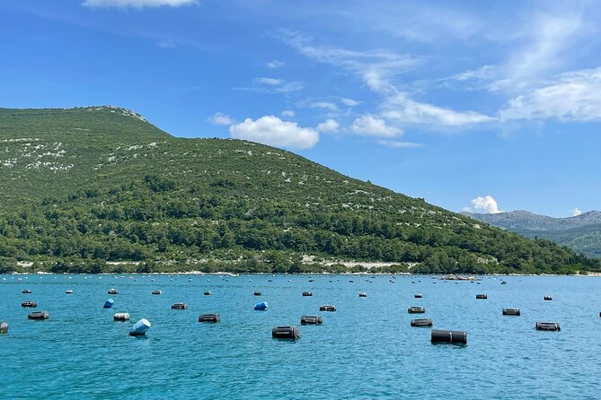 Ston Seafood & Pelješa Wine Boat Tour with Oysters and Mussels - Stop 1 in Hodilje: Stone walls nearby, then oysters on the water