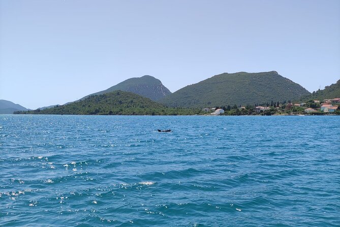 Ston Seafood & Pelješa Wine Boat Tour with Oysters and Mussels - Ston in 45 minutes: walls and salt lakes, plus time pressure