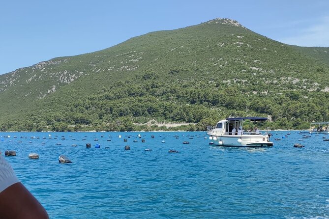 Ston Seafood & Pelješa Wine Boat Tour with Oysters and Mussels - What the small group setup changes