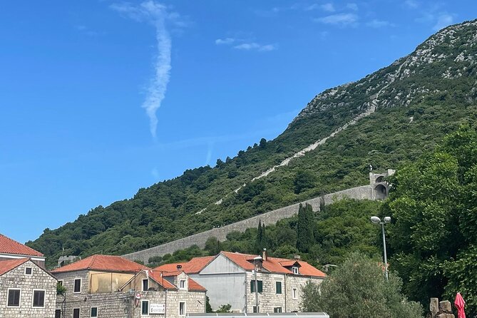 Ston Seafood & Pelješa Wine Boat Tour with Oysters and Mussels - Price and what makes it feel worth it