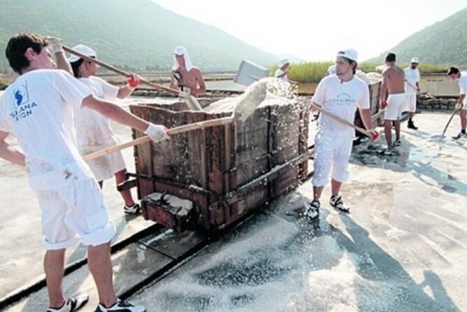 Ston Tour: City Walls, Saltworks, Wine & Adriatic Seafood - Seosko domaćinstvo Ficović: Seafood in a Fishing Bay Setting