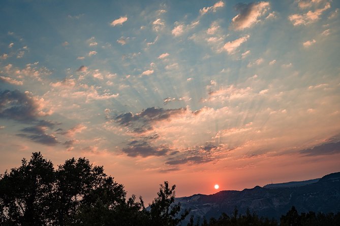 Sunset wine tasting in vineyard - Views Over Župa Dubrovačka, Comfort Tips, and Mosquito Reality