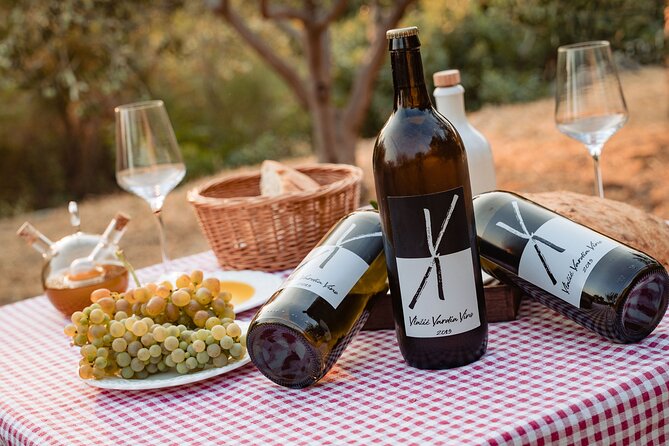 Sunset wine tasting in vineyard - Price and Value: Is $96.55 Worth It?