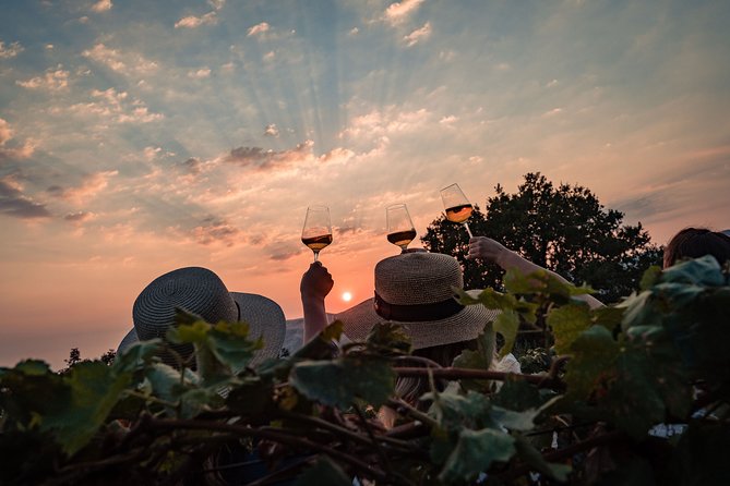 Sunset wine tasting in vineyard - Should You Book This Sunset Wine Tasting in the Vineyard?