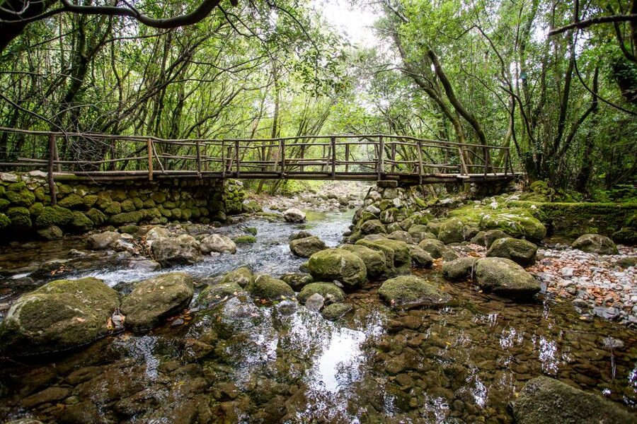Taste & Tradition of Dubrovnik Countryside - Dubrovnik Countryside in 5 Hours, Without the Headache