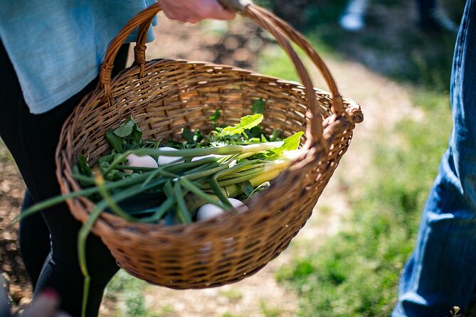 Traditional Cooking Class in Dubrovnik Countryside - The wine, liquers, and coffee that shape the mood
