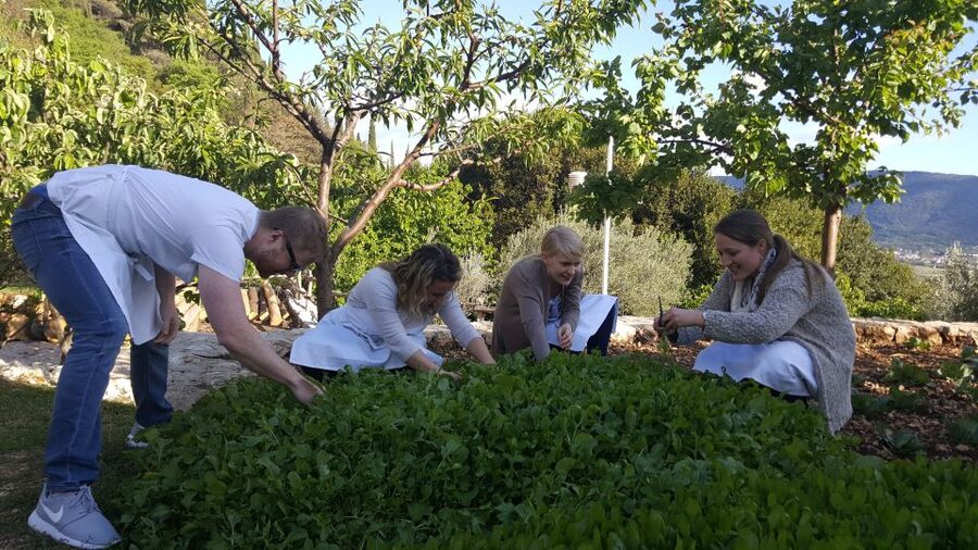 Traditional Dalmatian Cooking Class from Dubrovnik - What You’ll Cook: Peka, Menestra, Skewers, Bread, and Seasonal Desserts