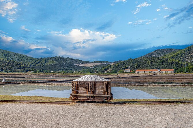Transfer Dubrovnik to Split with Sightseeing in Ston Town - Ston town stop: making 1 hour count
