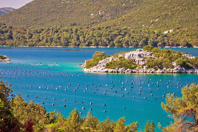 Transfer Dubrovnik to Split with Sightseeing in Ston Town - Hotel pickup, air-conditioning, and Wi-Fi that actually matter