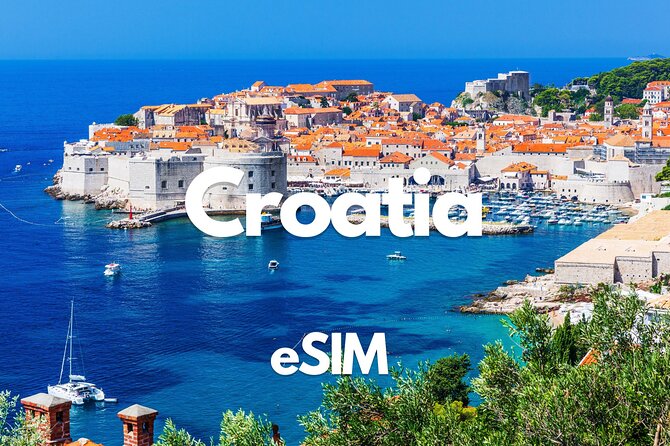Try Scuba Diving Discovery in Dubrovnik - What you might see in the Adriatic Sea (and why it feels special)