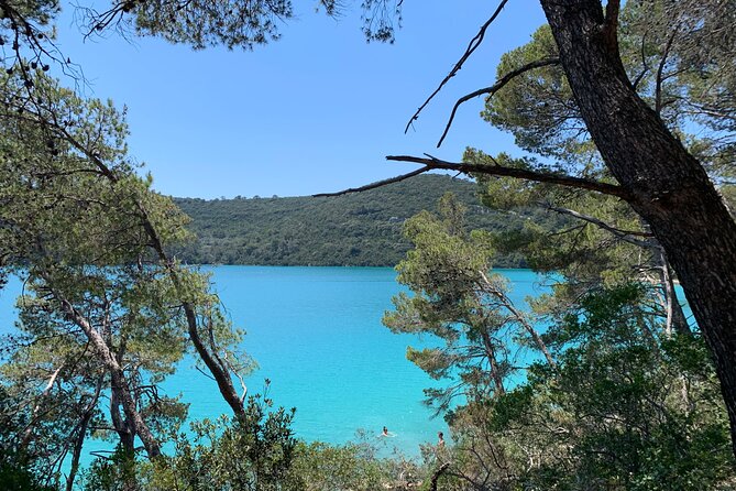 Visit magical Mljet Island with private speedboat - Weather, timing, and your best day planning moves