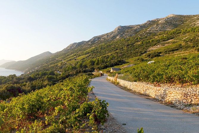 Wine Lover's Tour of Peljesac Peninsula - Why Peljesac Tastes Like the Right Match for Dubrovnik