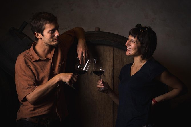 Wine Lover's Tour of Peljesac Peninsula - Winery Stop Three: Tour, Tasting, Snacks, and the Best Views