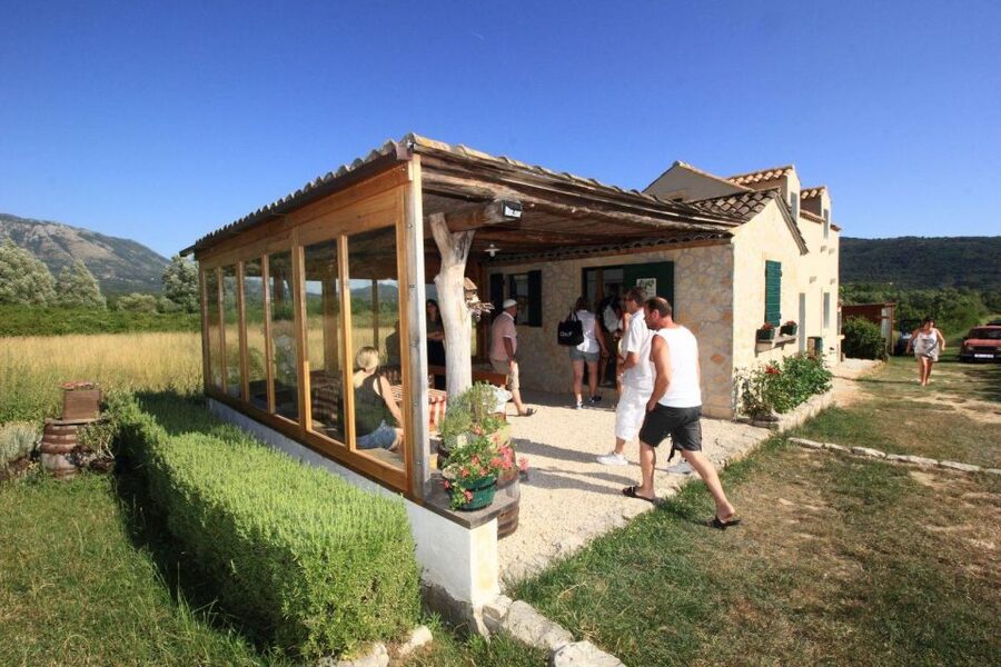 Wine tasting on Peninsula Pelješac wine tour from Dubrovnik - FAQ