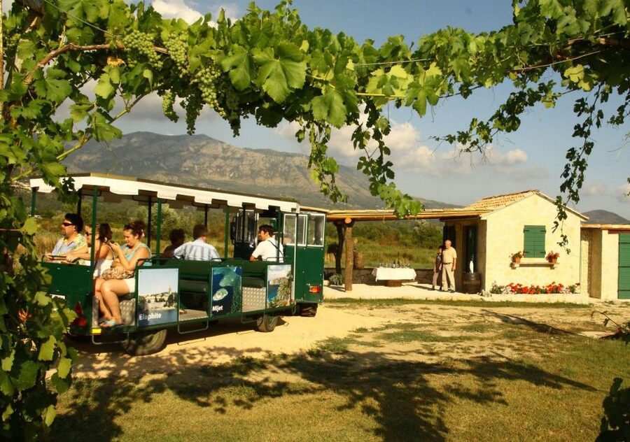 Wine tasting on Peninsula Pelješac wine tour from Dubrovnik - Should you book this tour from Dubrovnik?