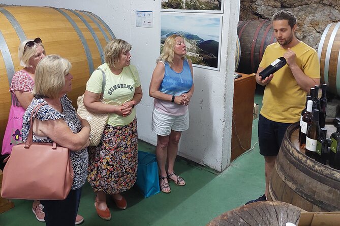 Wine tour Peljesac - Stop 3 in Boljenovići Ponikve: third generation, fruit-forward flavors, and liqueurs