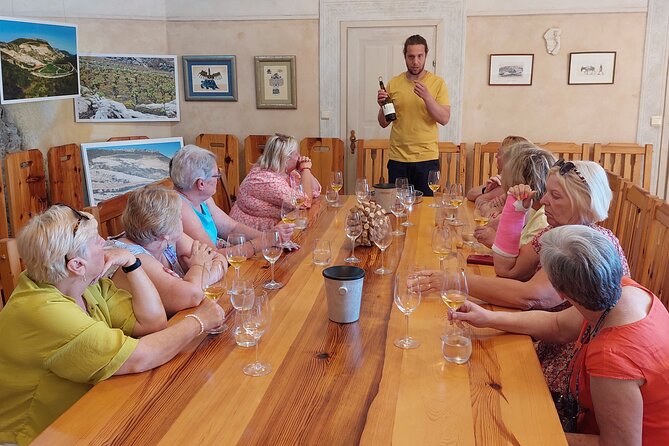 Wine tour Peljesac - Wine tasting reality check: how to make the most of up to 4 wines